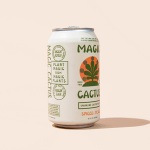 Magic Cactus Spiced Peach 2mg THC/4mg THCV/6mg CBD - Herbal Wave